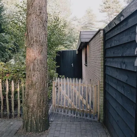 Wellness Jungle F1rst Wr1te To Ma1l Scholz98c 